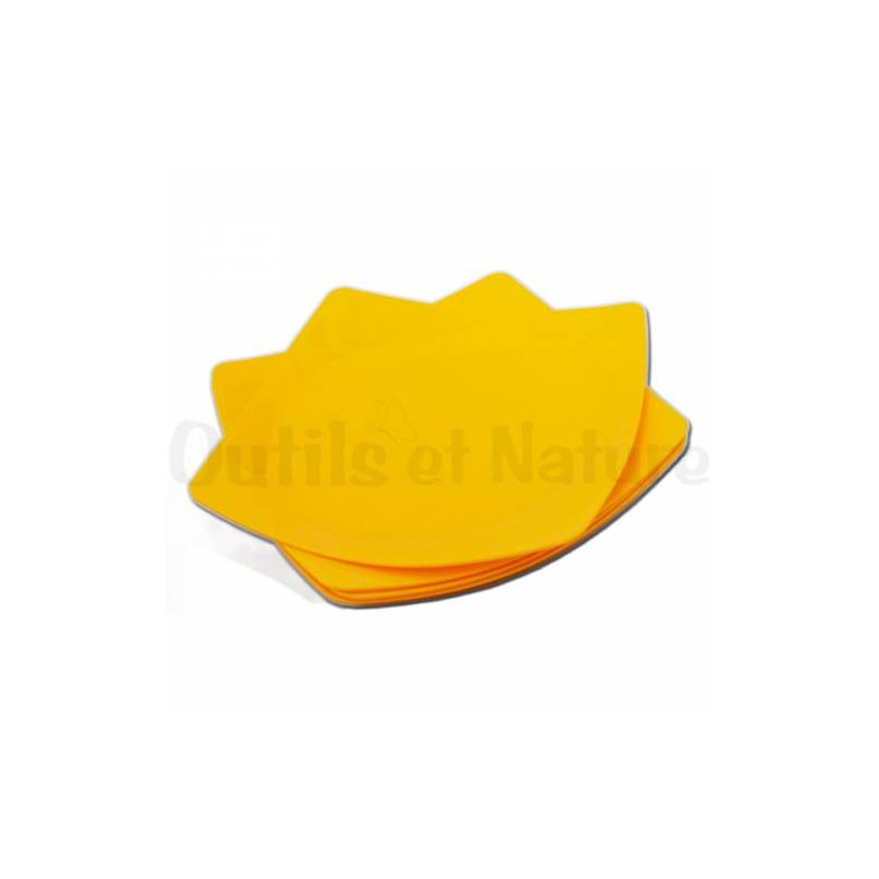Assiettes en plastique carrée - 24 cm (lot de 4) Jaune Assiettes en plastique carrée - 24 cm (lot de 4) Jaune